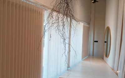 Cortinas Dunes 2025: Elegancia en Cada Onda